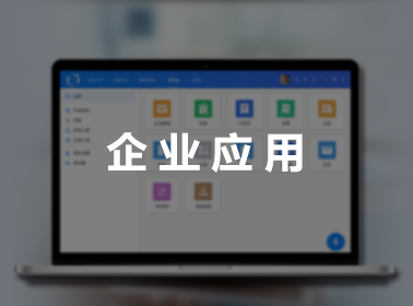 企业应用