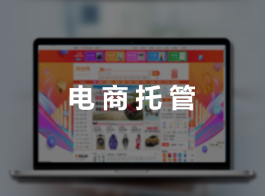 电商托管
