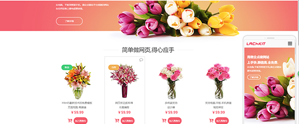 电商行业网站解决方案